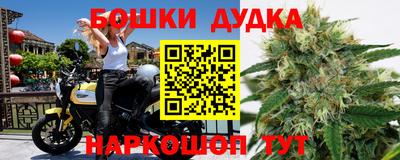 МДПВ Дубна
