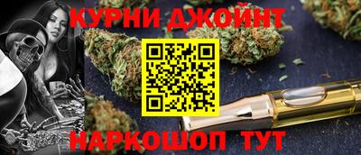 МДПВ Дубна