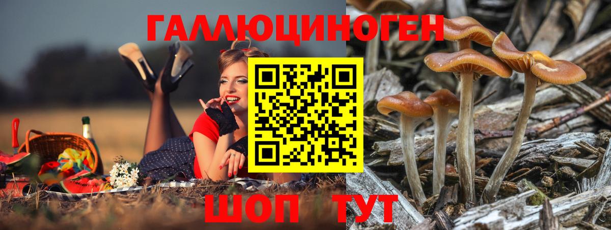Нижнекамск  Галлюциногенные грибы MAGIC MUSHROOMS  Вход с VPN 